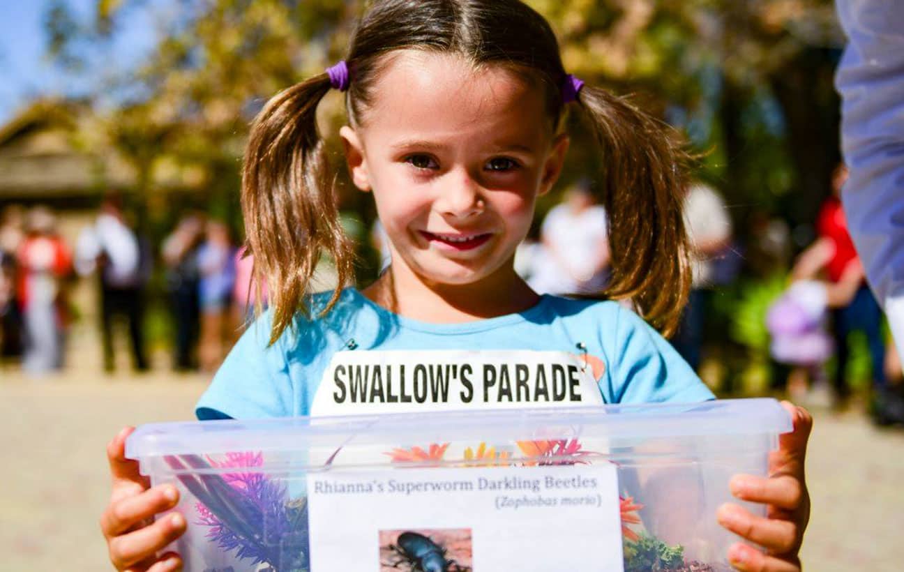 Swallow’s Day Parade